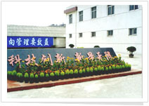 Hubei Xinjing New Material Co., Ltd. 